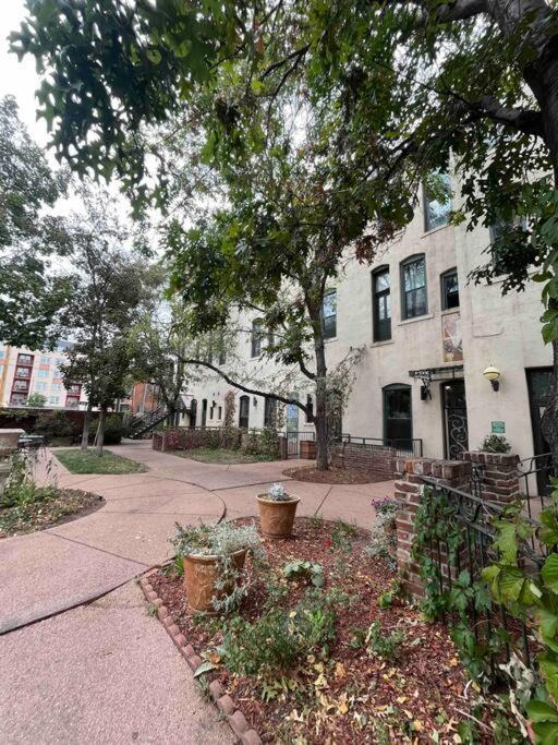 Affordable & Chic Rino/Lodo/Dtown Loft- Walkable Lägenhet DEN Exteriör bild